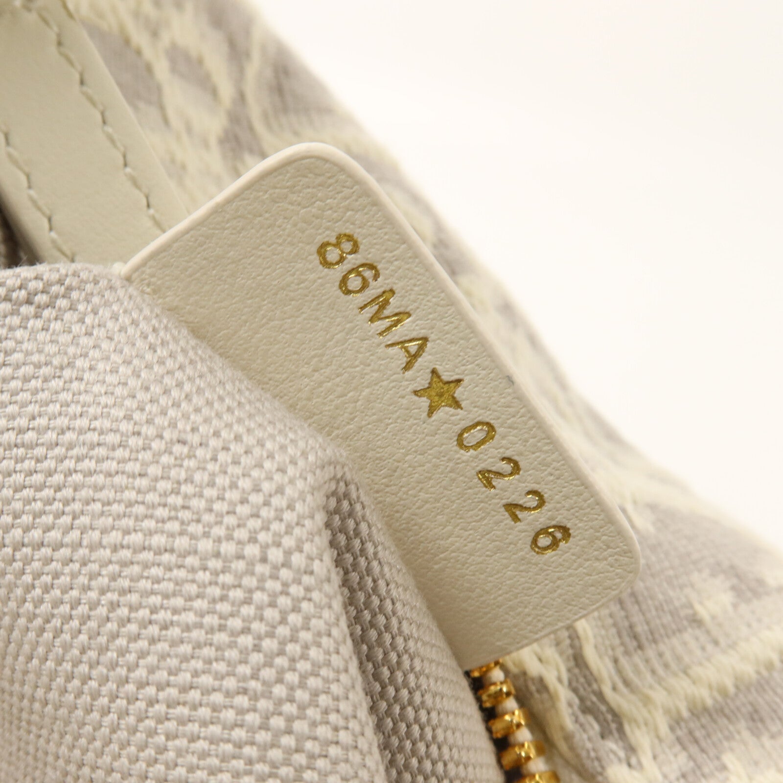 Dior 帆布Medium D-Dream Bag手挽肩背兩用袋