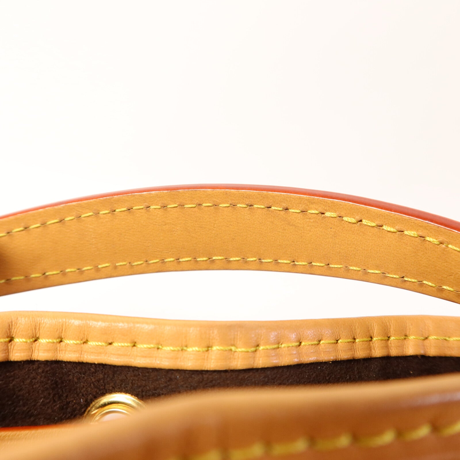 LOUIS VUITTON Monogram Nano Noe金扣手挽肩背兩用袋