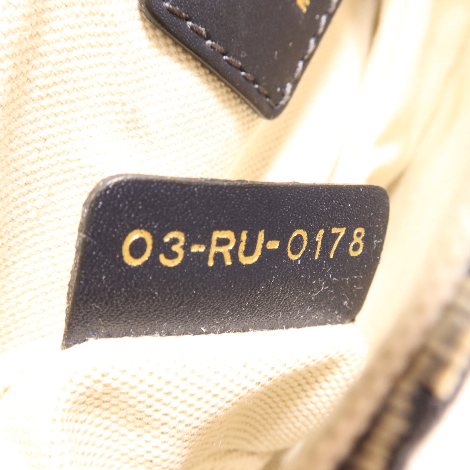 Dior 帆布Mini Saddle金扣肩背袋