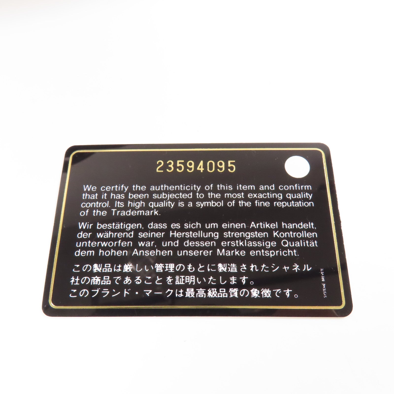 CHANEL 牛皮/蜥蝪皮革Coco Handle Small手挽肩背兩用袋