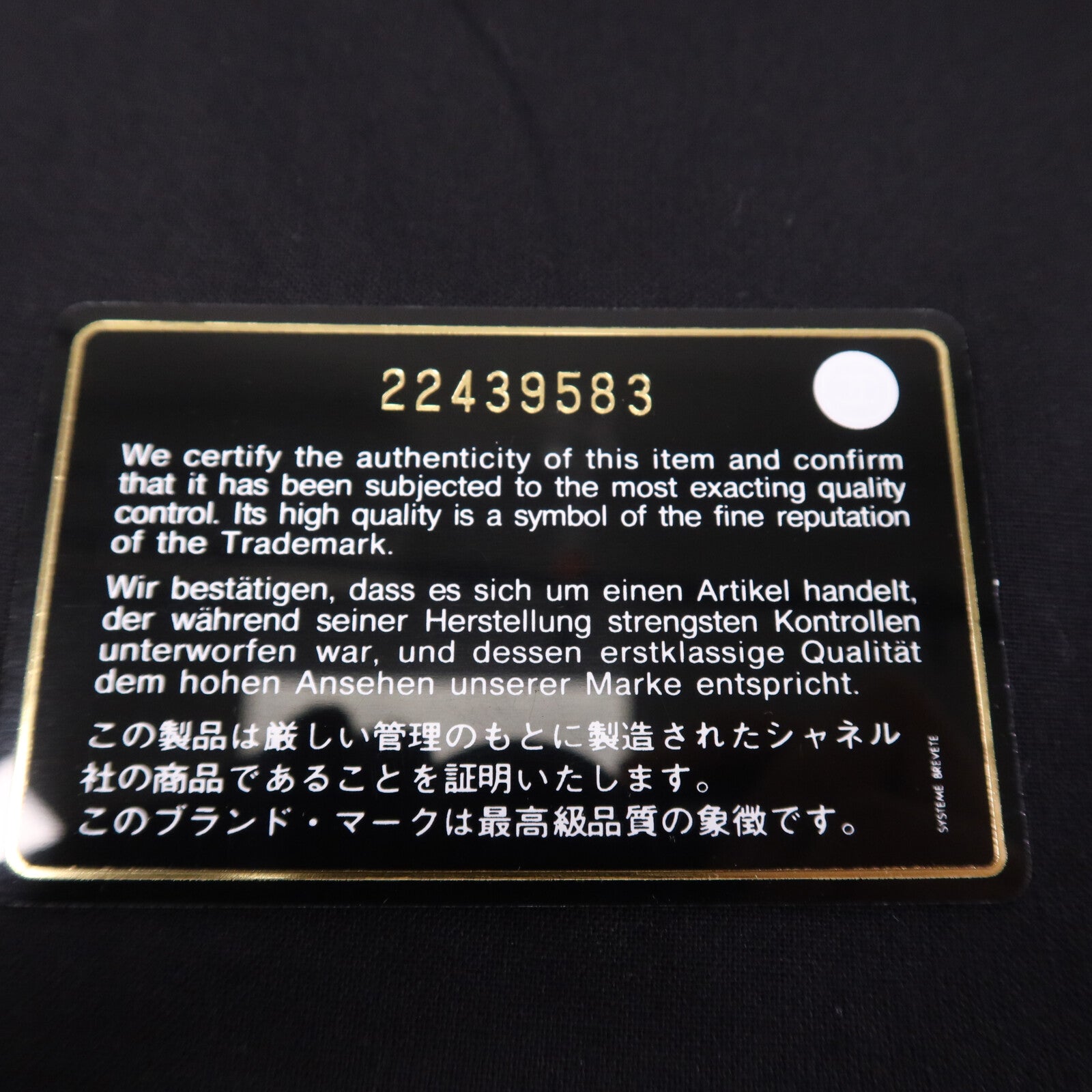 CHANEL 羊皮皮革Pouch銀扣手拿包