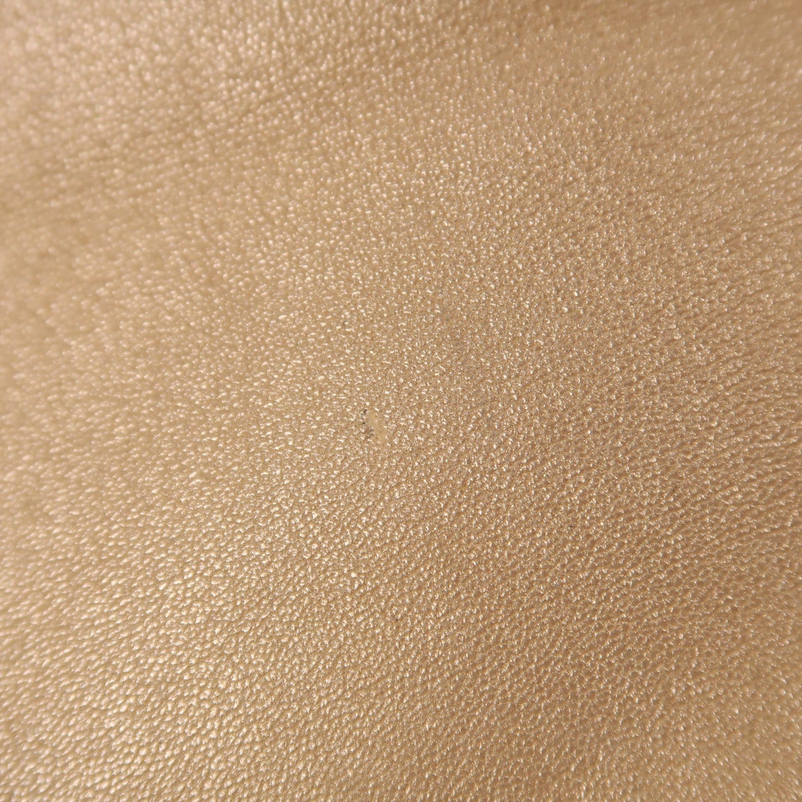 CHANEL 皮革Coco Cocoon金扣手挽袋