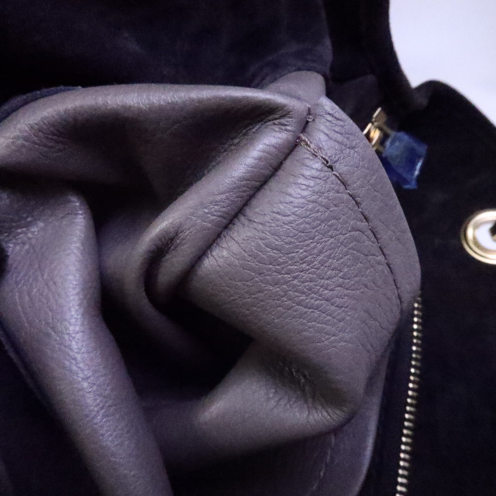 LOUIS VUITTON Monogram Suded/蛇皮皮革Whisper手挽袋