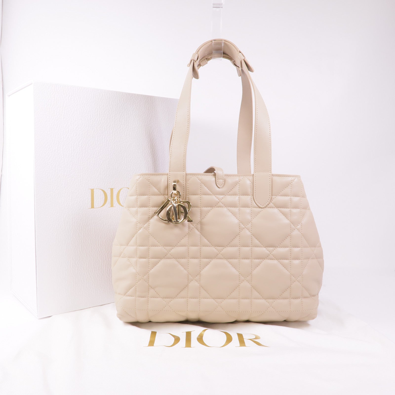 Dior 羊皮皮革Dior Toujours Medium銀扣肩背袋