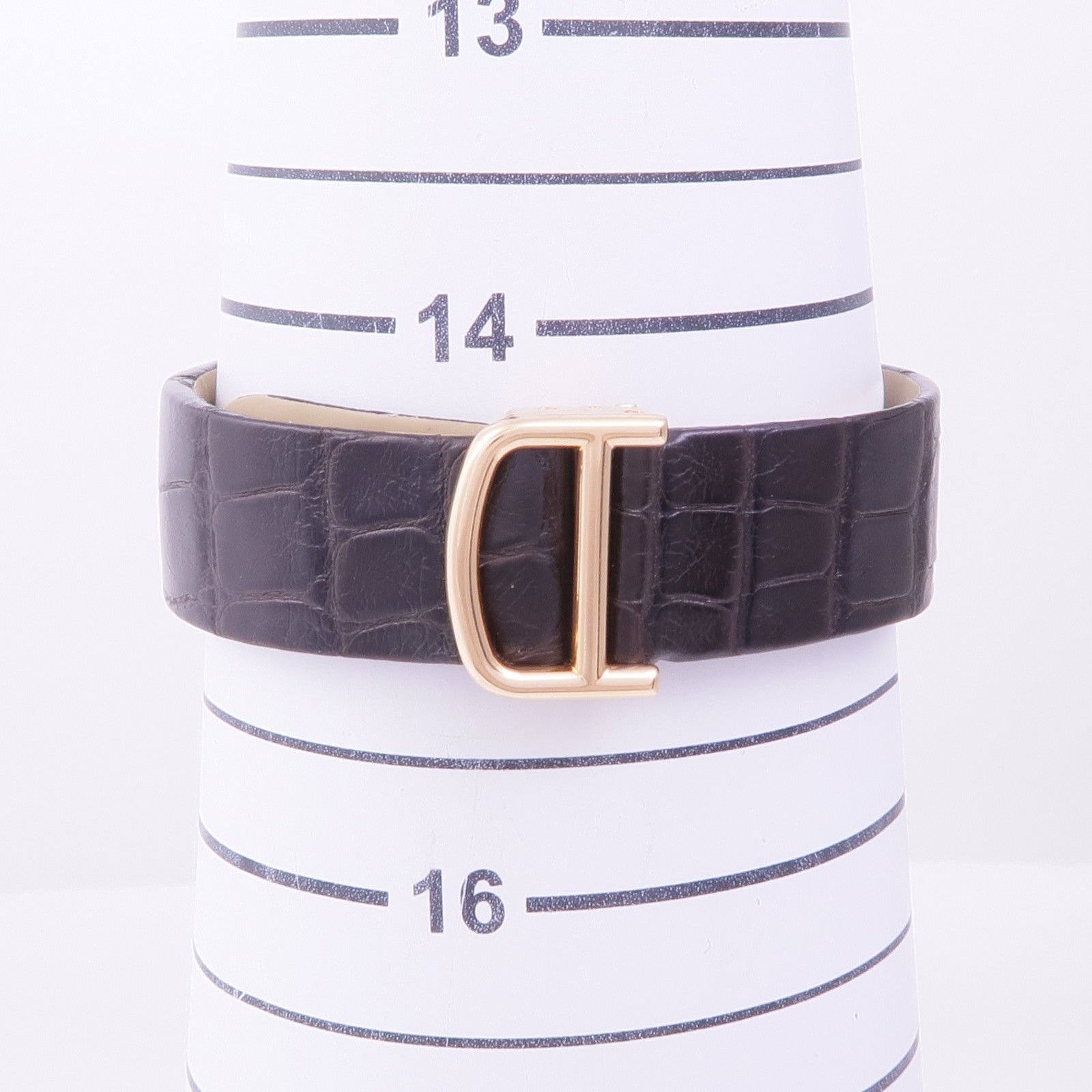 CARTIER Santos Dumont W2009251