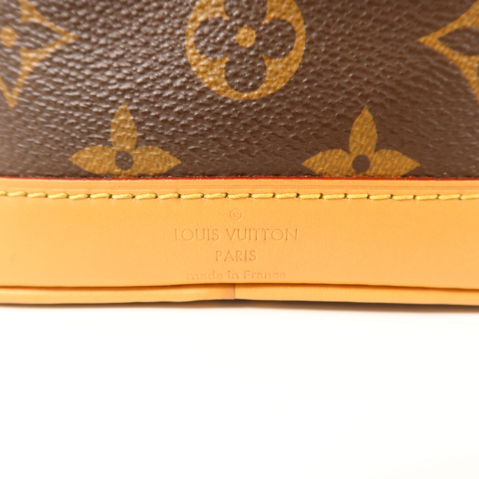 LOUIS VUITTON Monogram Nano Noe金扣手挽肩背兩用袋