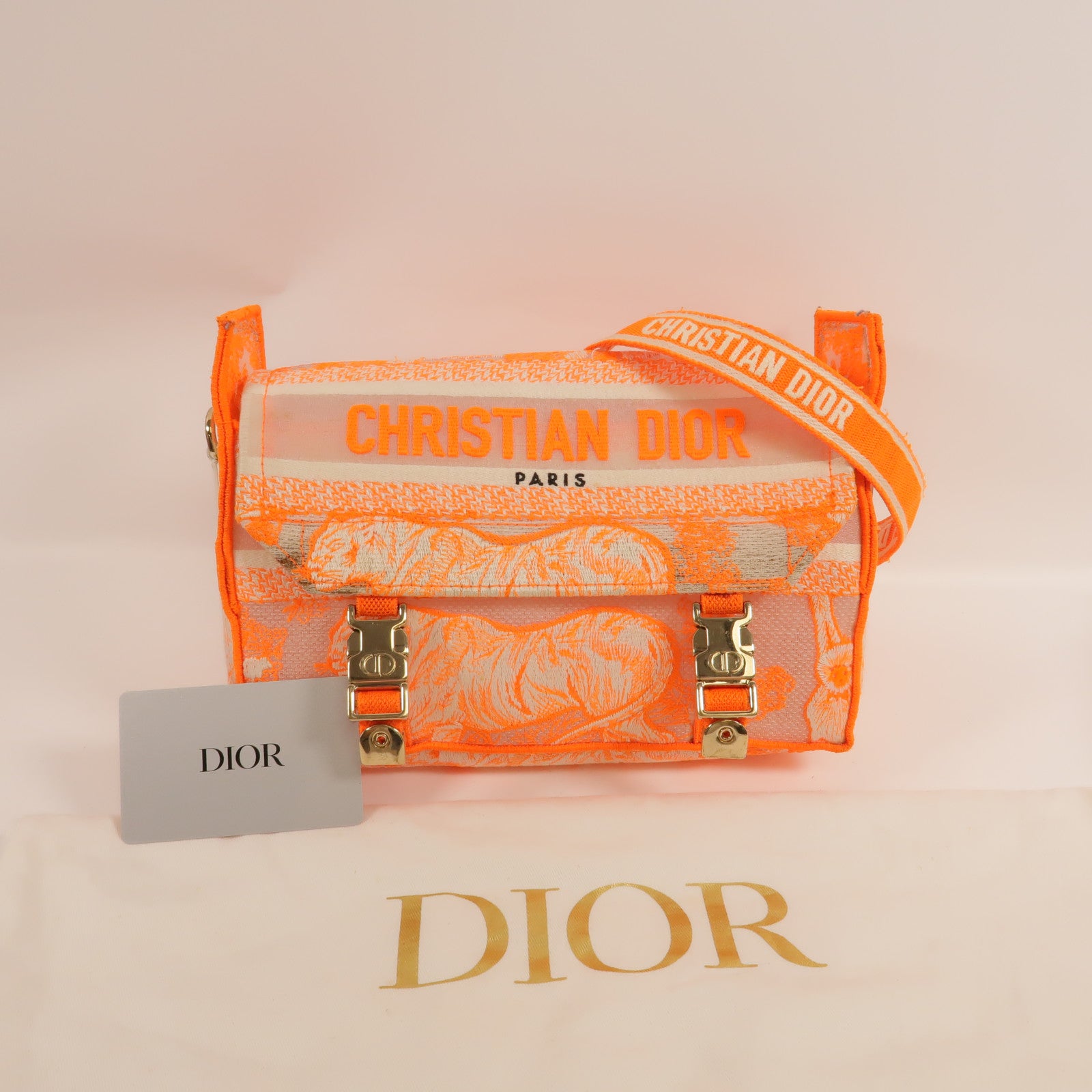 Dior 帆布Dior Camp Small肩背袋