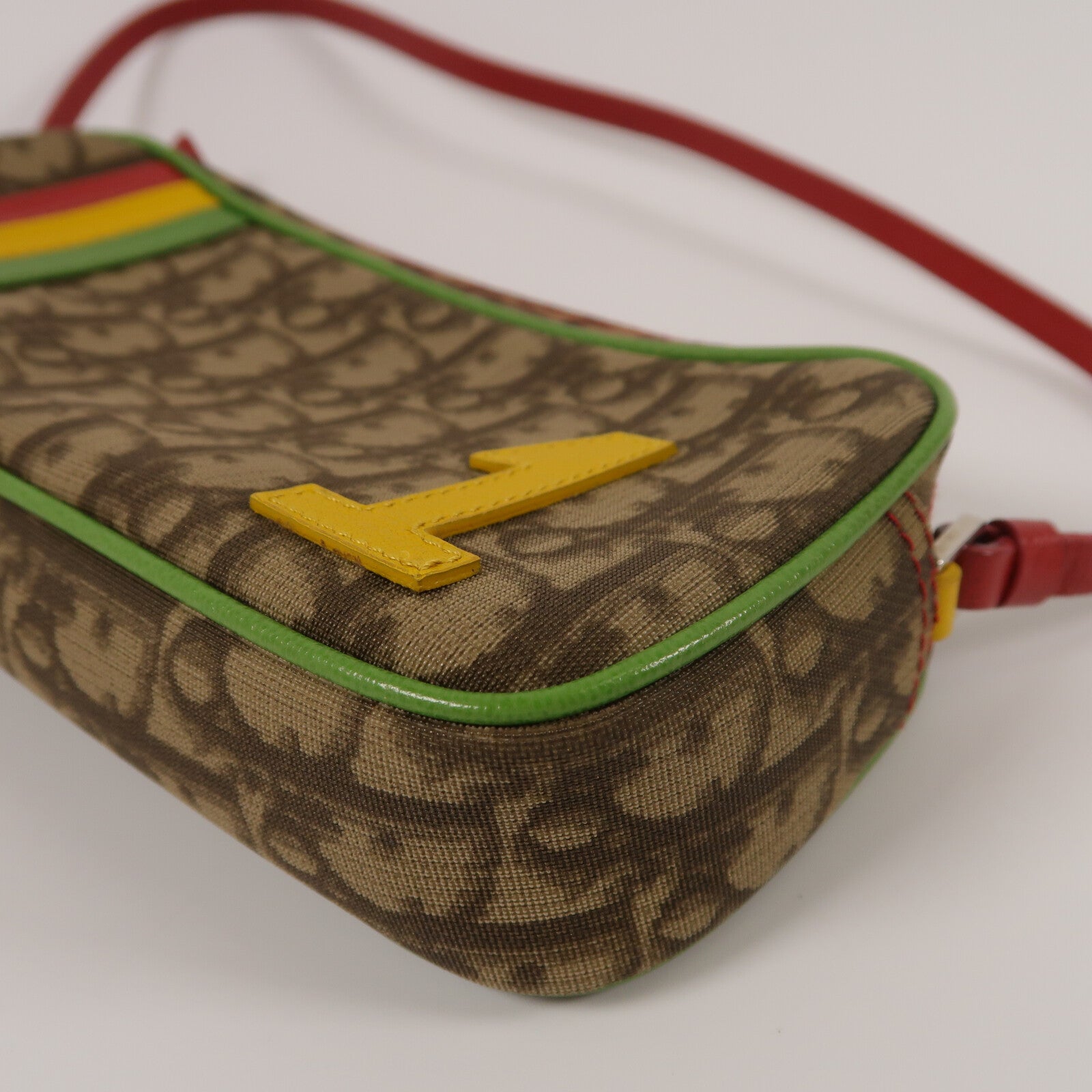 Dior 塗層帆布Rasta Pochette肩背袋