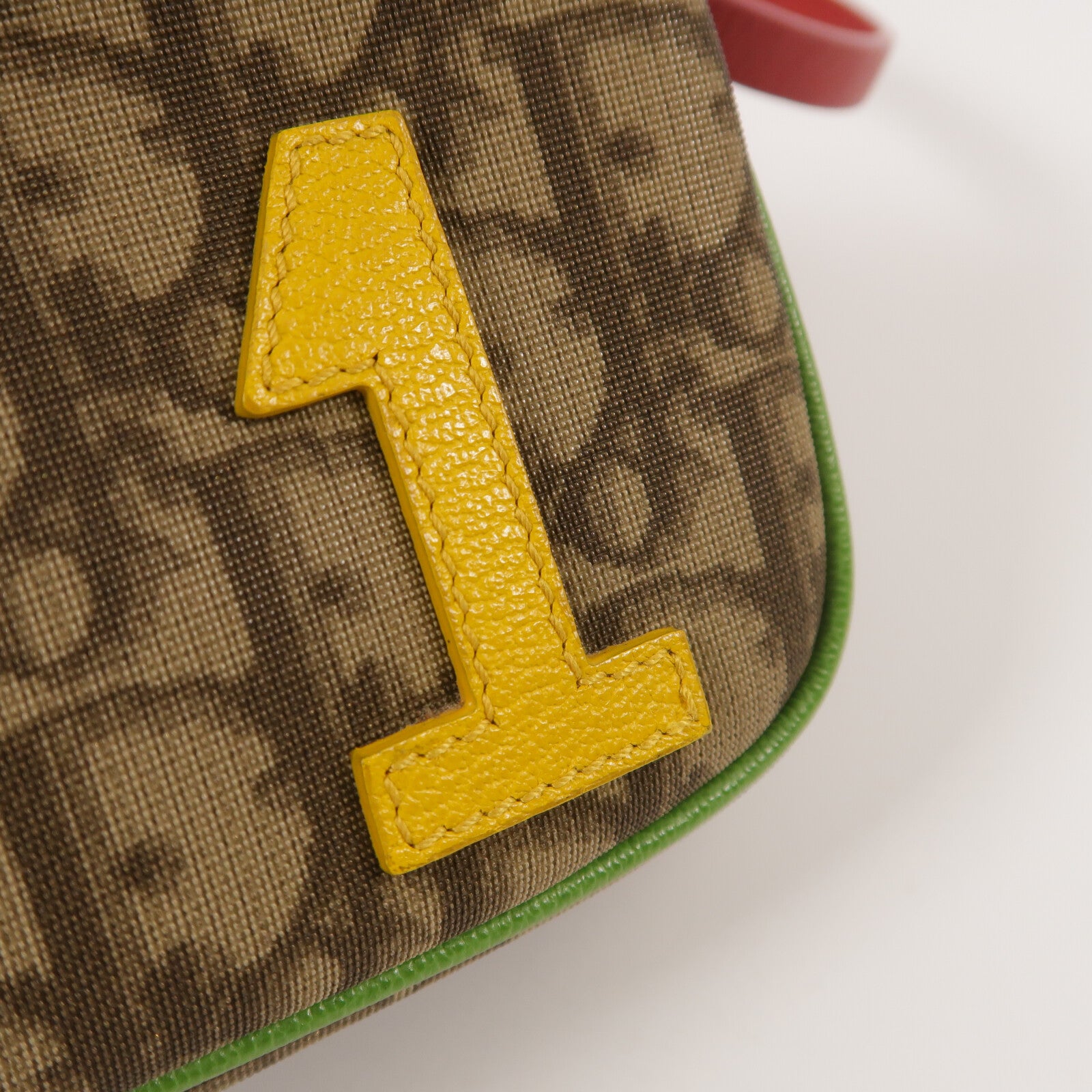 Dior 塗層帆布Rasta Pochette肩背袋