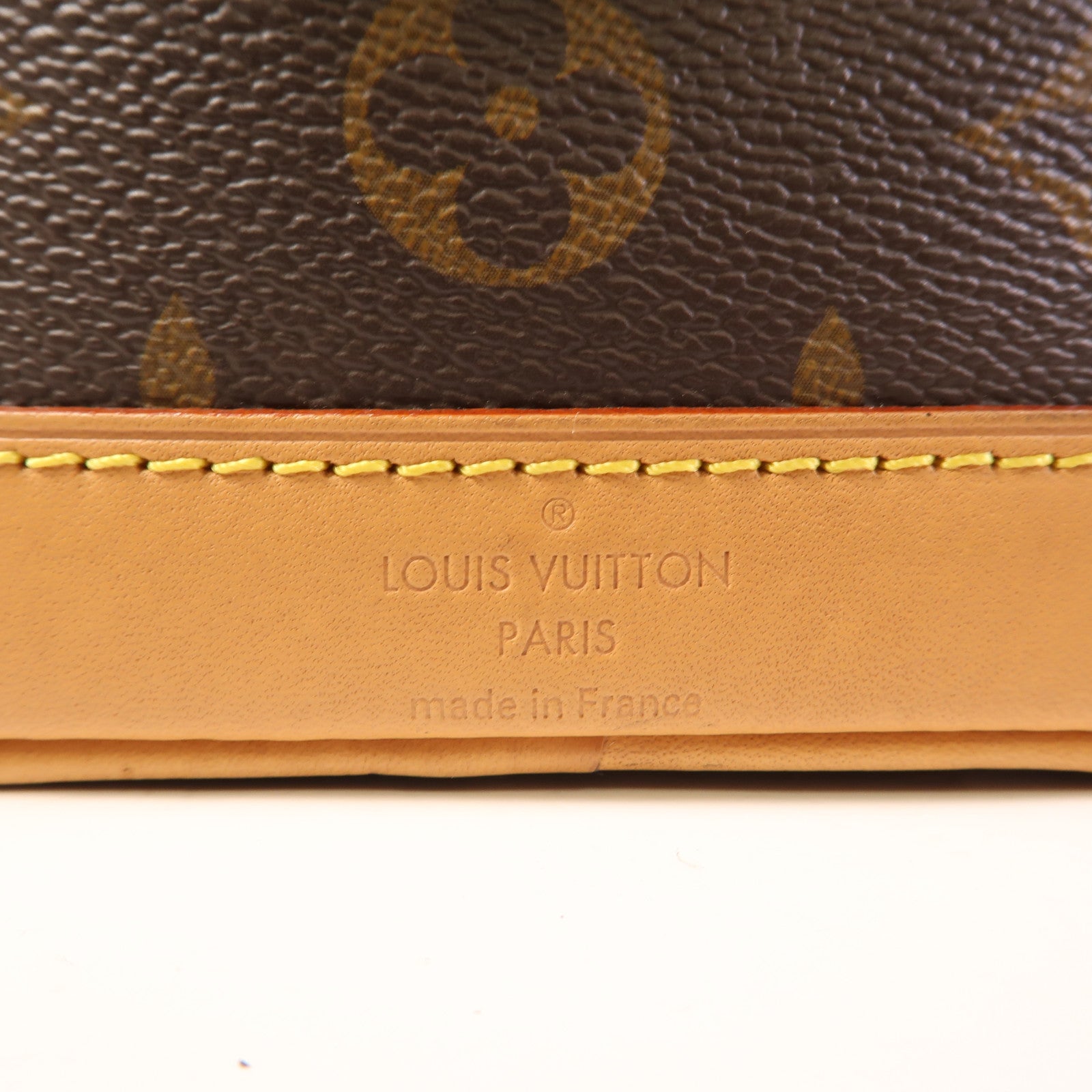 LOUIS VUITTON Monogram Nano Noe金扣手挽肩背兩用袋