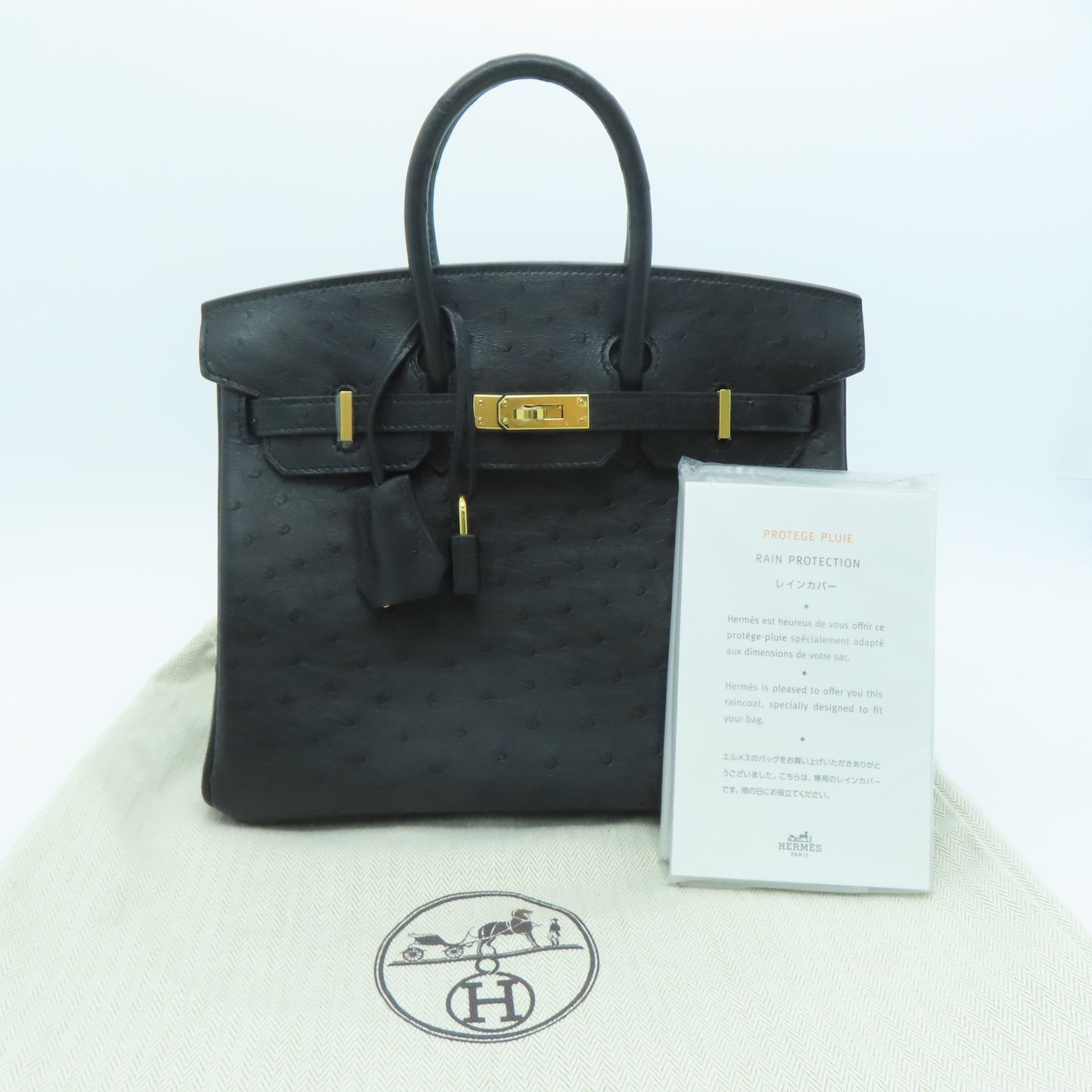 HERMES Ostrich皮革Birkin 25金扣手挽袋Noir/黑色