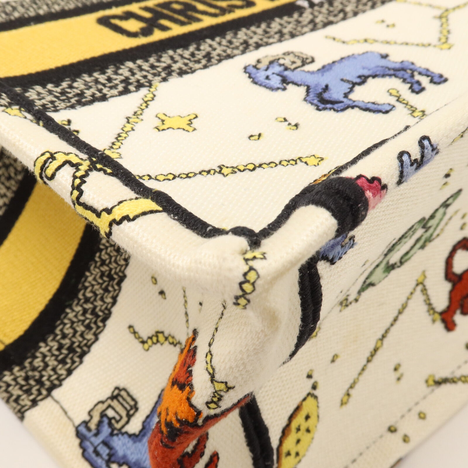 Dior 帆布Book Tote Small手挽袋