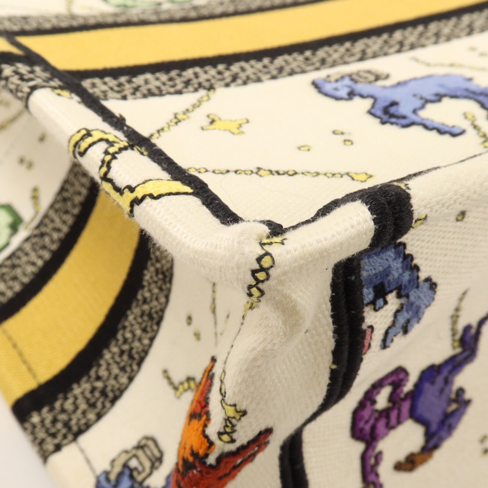 Dior 帆布Book Tote Small手挽袋