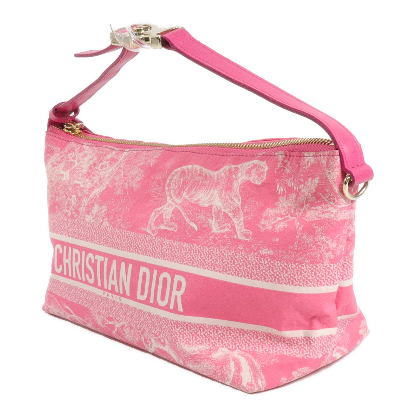 Dior Technical Canvas Nomad Pouch手挽袋