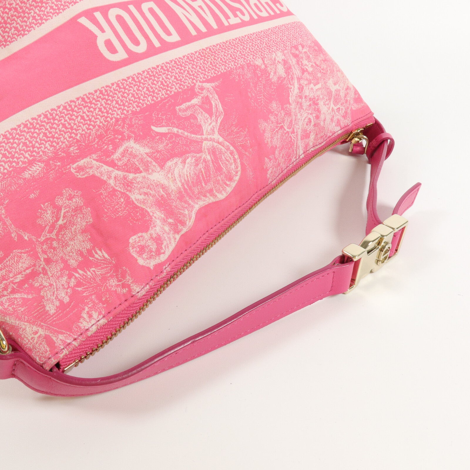 Dior Technical Canvas Nomad Pouch手挽袋