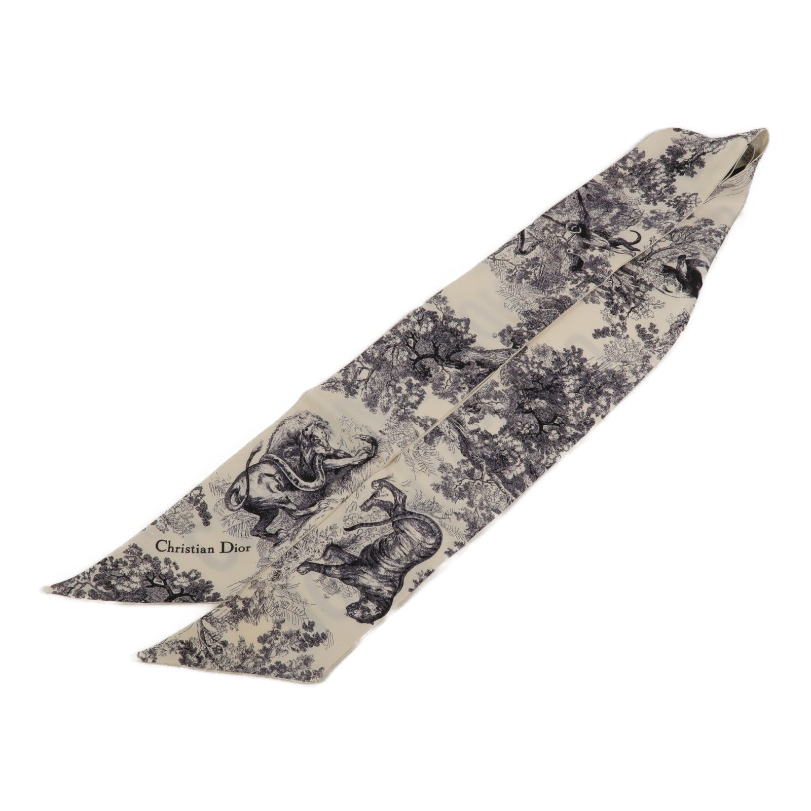 Dior 絲質Mitzah Scarf絲巾