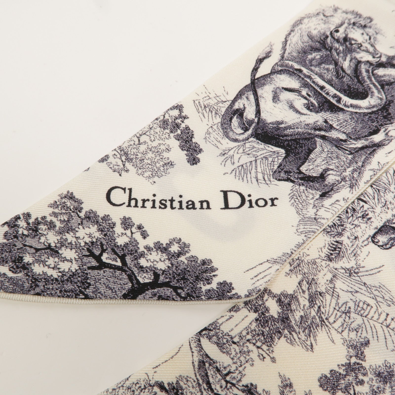 Dior 絲質Mitzah Scarf絲巾