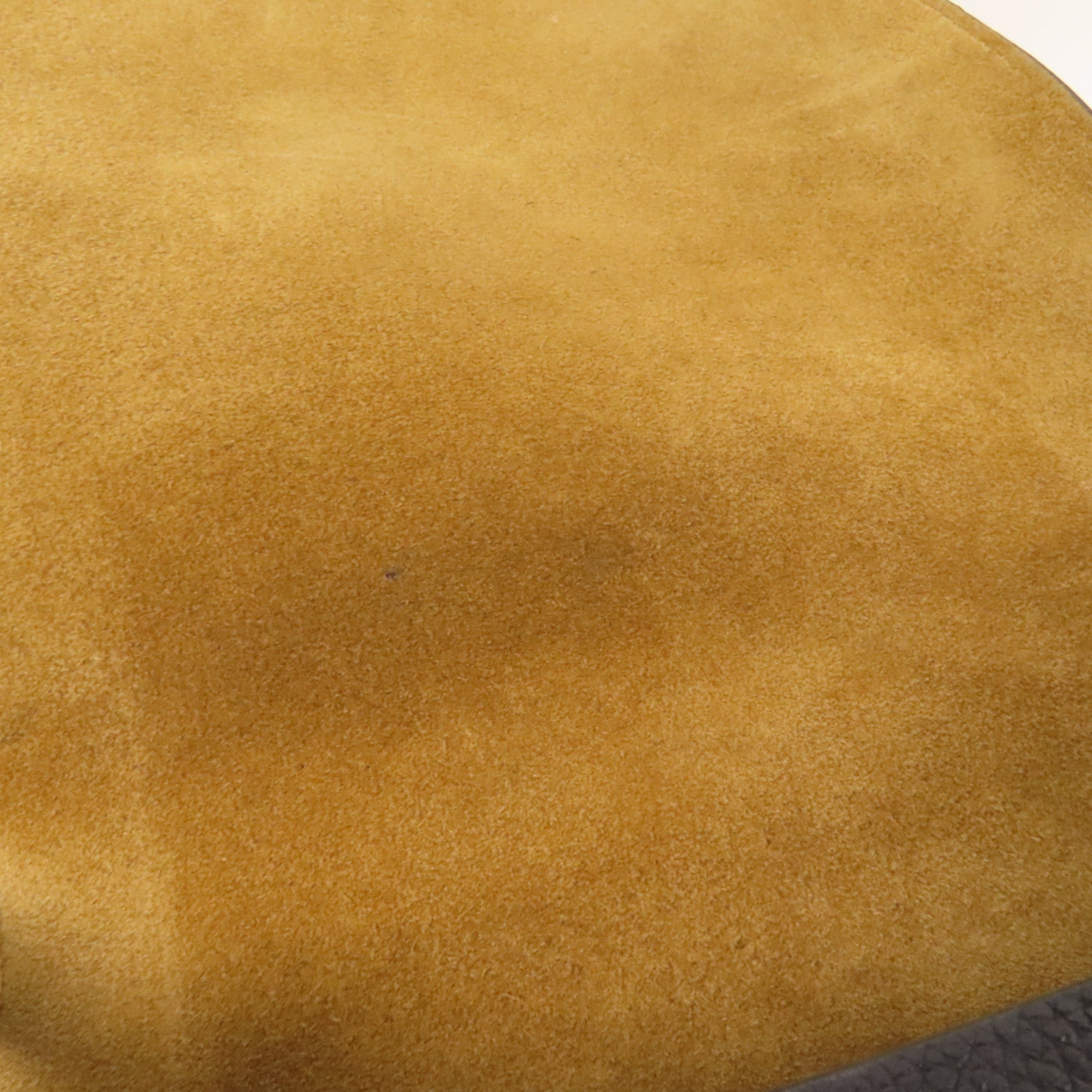 LOEWE 牛皮皮革Gate金扣肩背袋