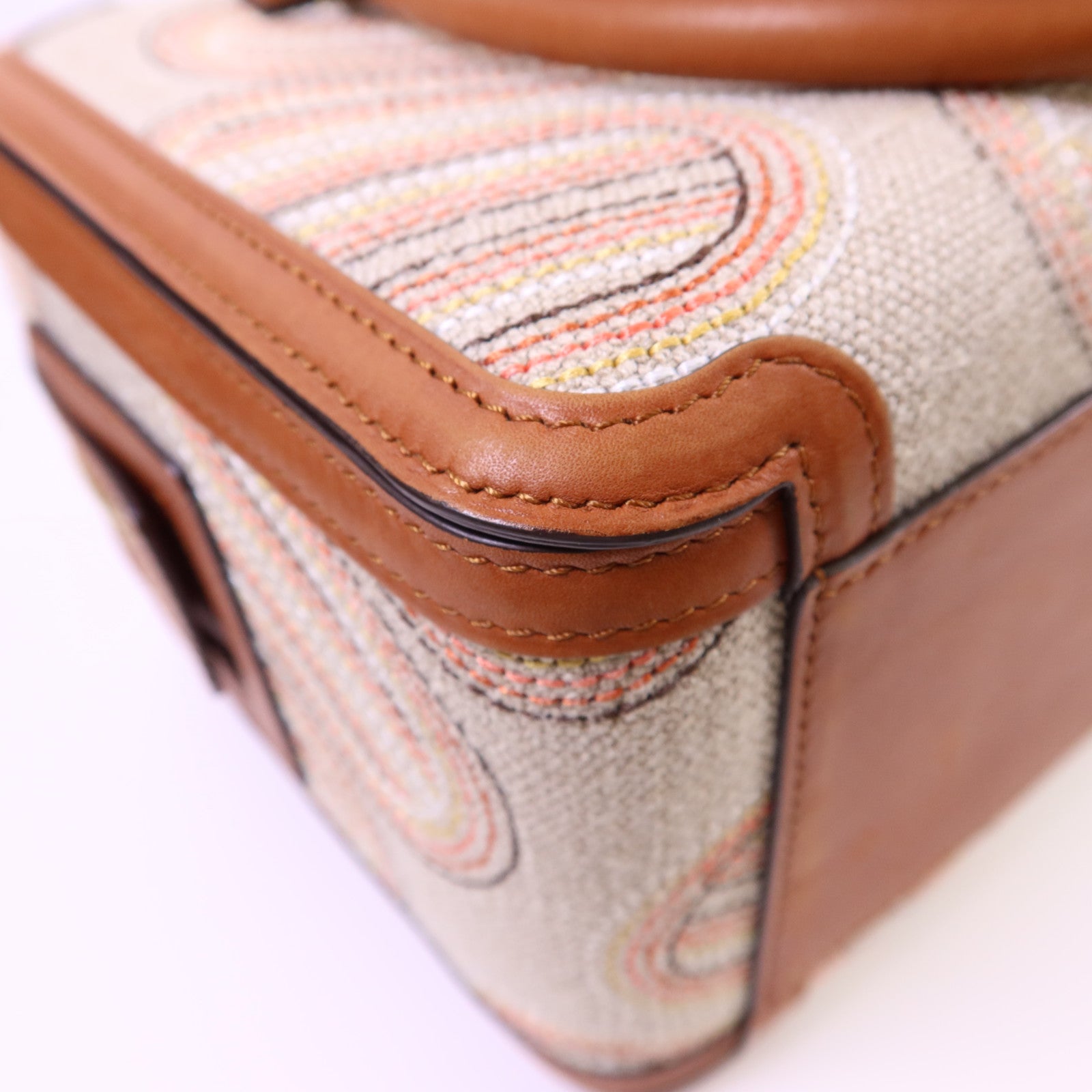 Delvaux 帆布/皮革Cool Box MM金扣手挽肩背兩用袋