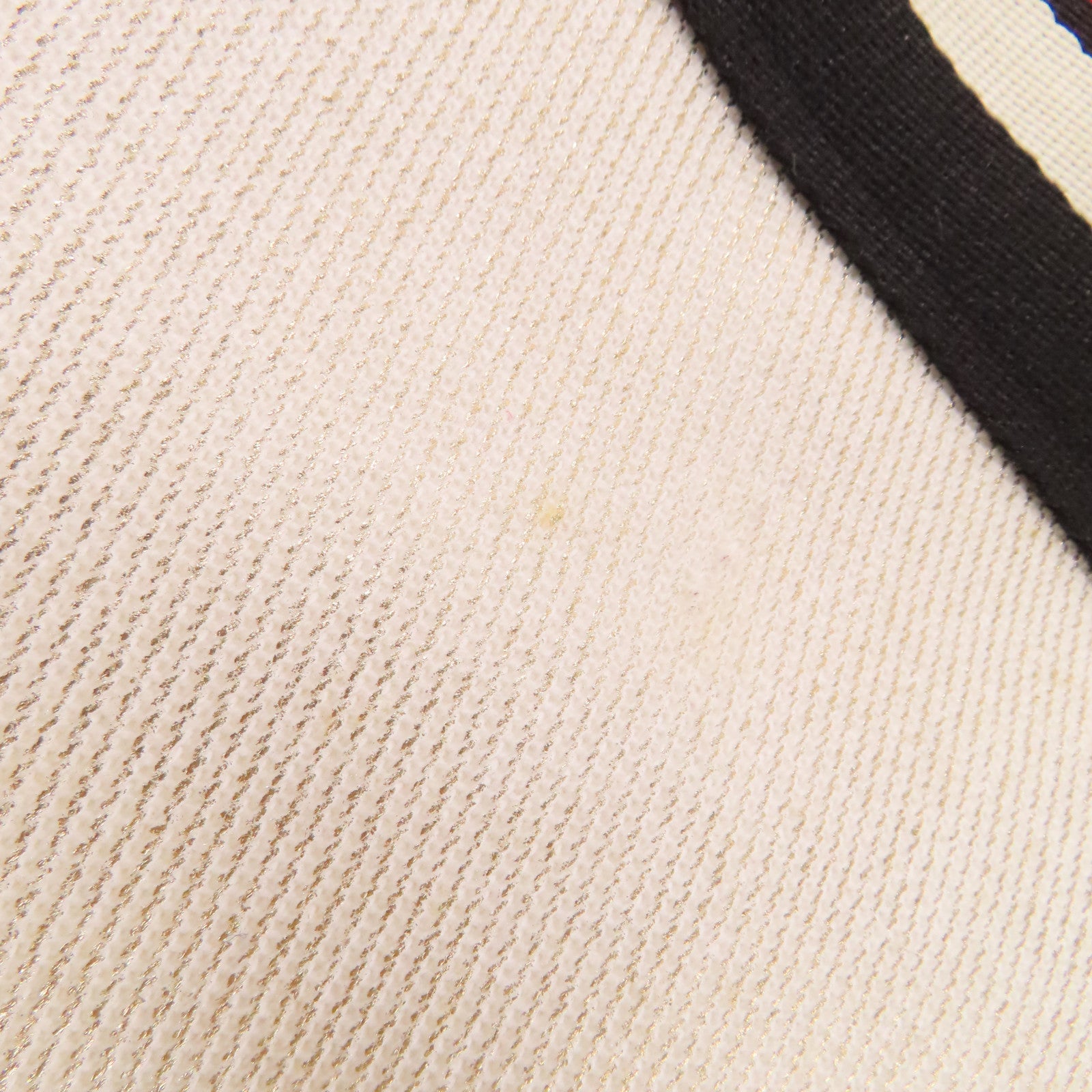 Longchamp 帆布/皮革Tote Bag手挽肩背兩用袋