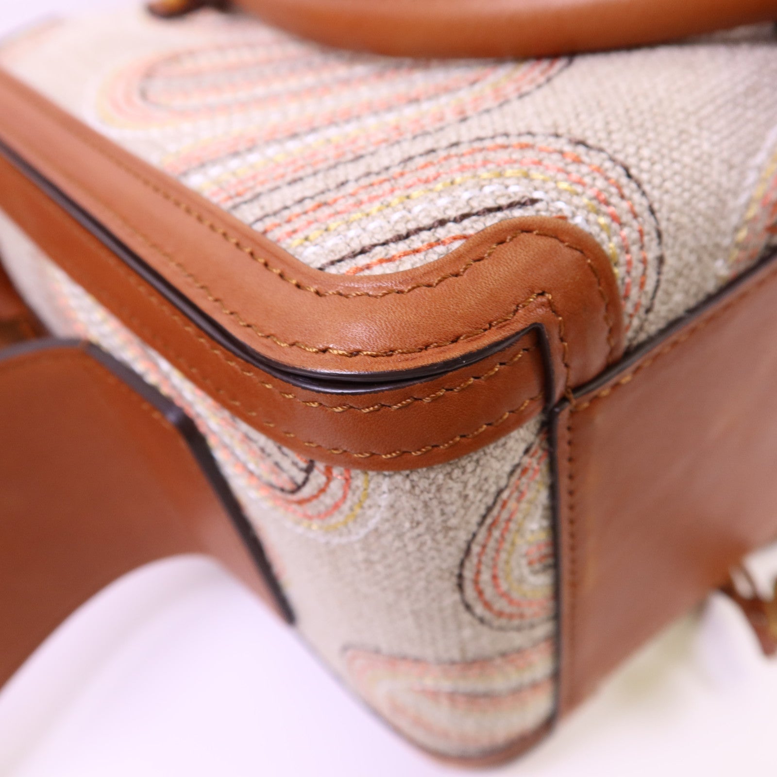 Delvaux 帆布/皮革Cool Box MM金扣手挽肩背兩用袋