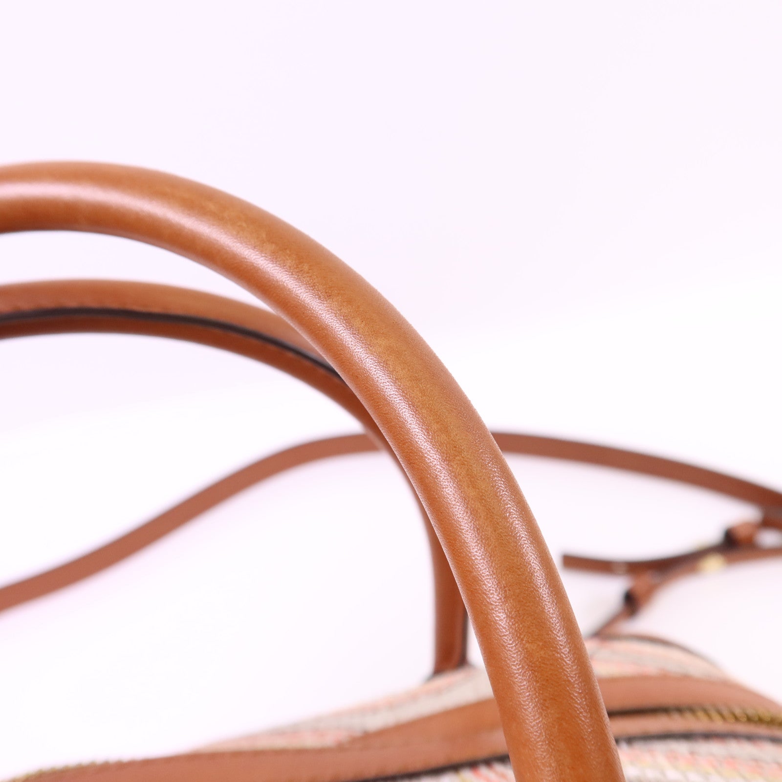 Delvaux 帆布/皮革Cool Box MM金扣手挽肩背兩用袋