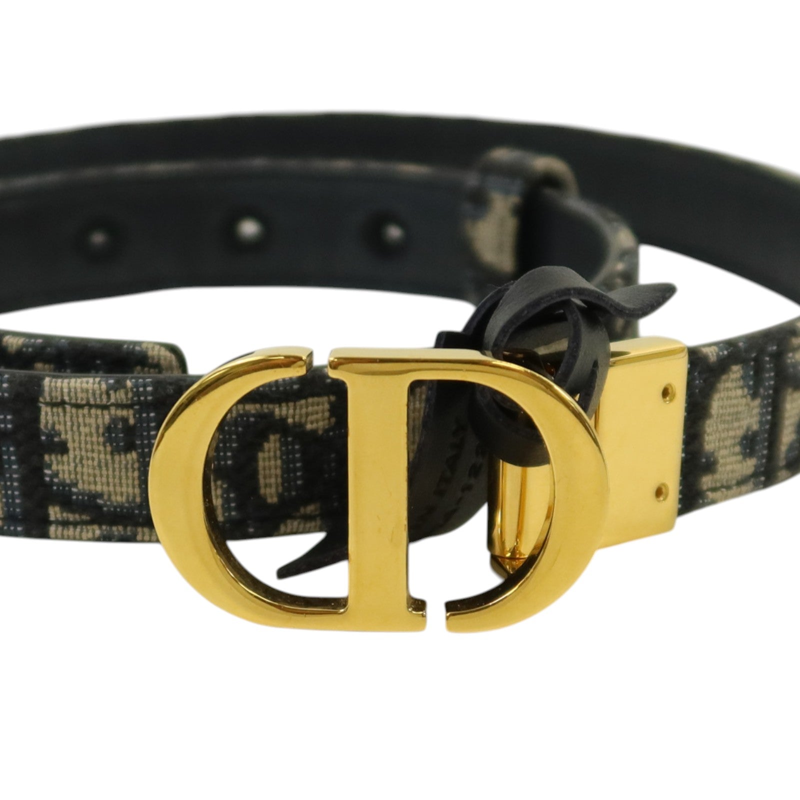 Dior Obriqur帆布Belt 75cm金扣腰帶