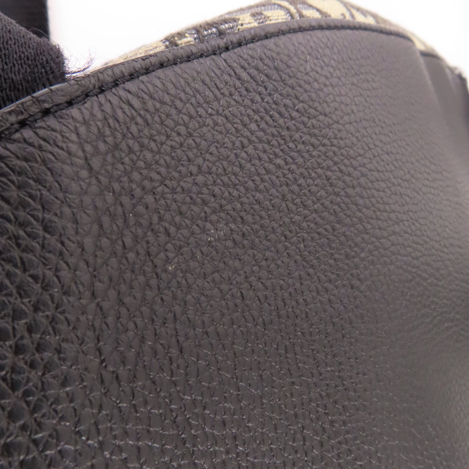 Dior 帆布Gallop Backpack銀扣背包