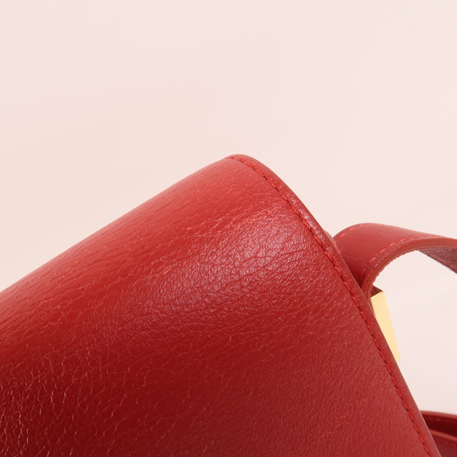 Delvaux 牛皮皮革Madame PM肩背袋