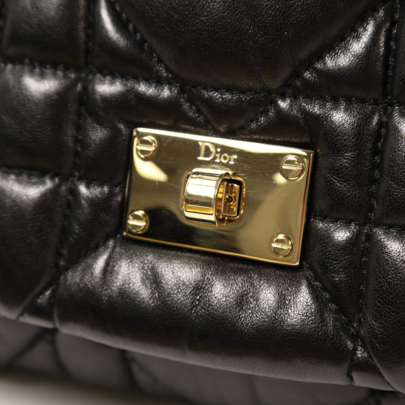 Dior 羊皮皮革Milly La Foret金扣鏈帶肩背袋