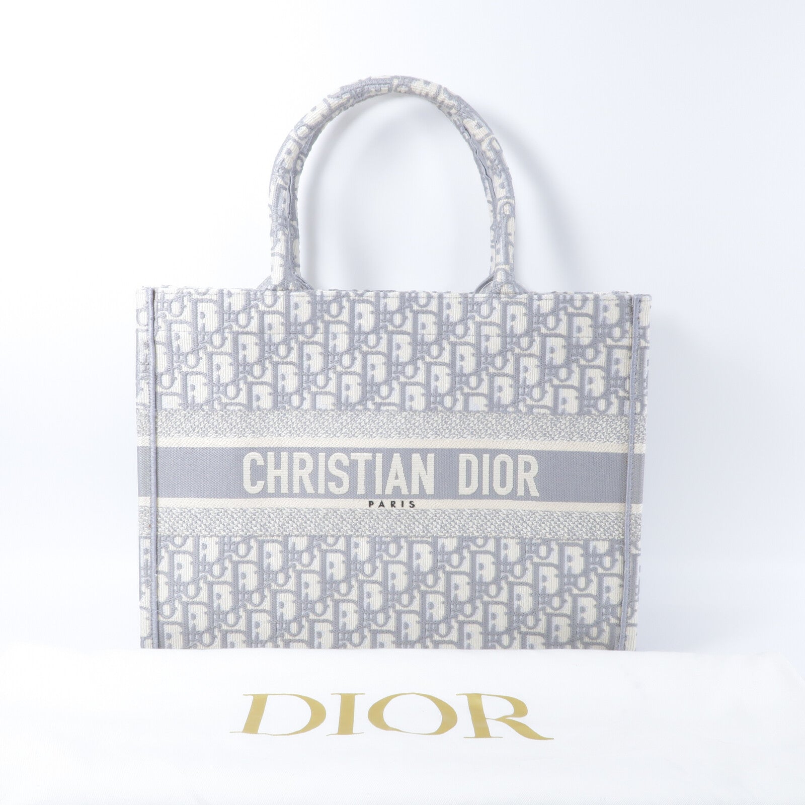 Dior 帆布Book Tote Medium手挽袋