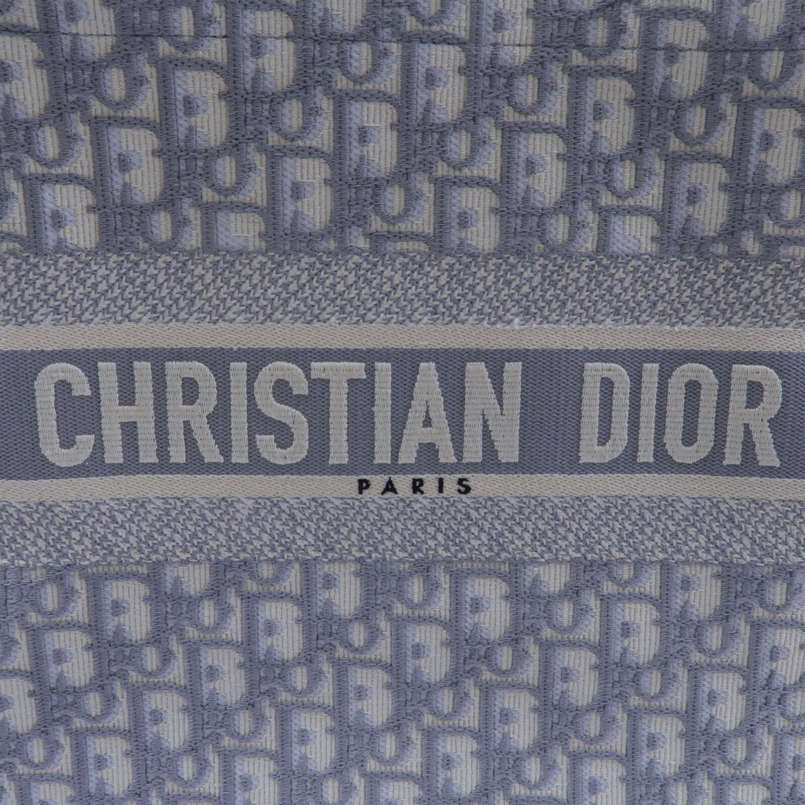 Dior 帆布Book Tote Medium手挽袋