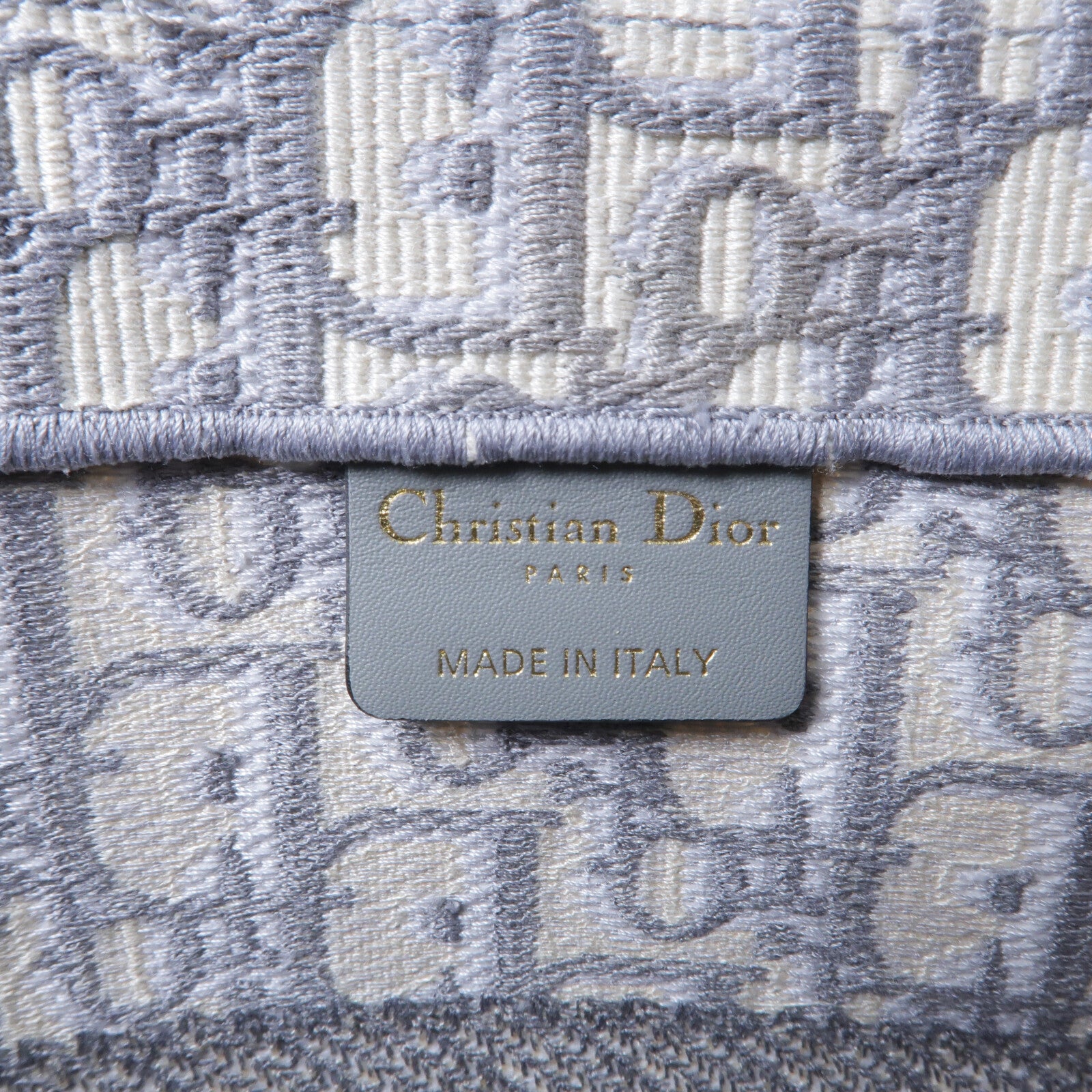 Dior 帆布Book Tote Medium手挽袋