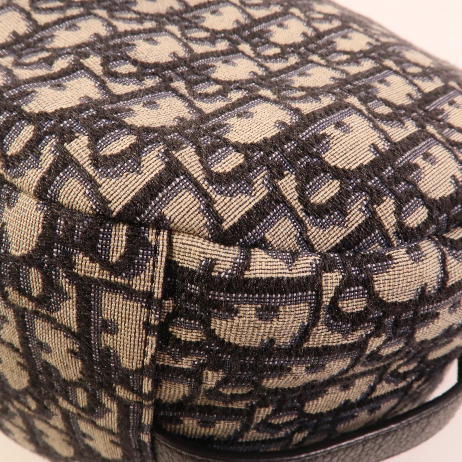 Dior 帆布Saddle手挽肩背兩用袋