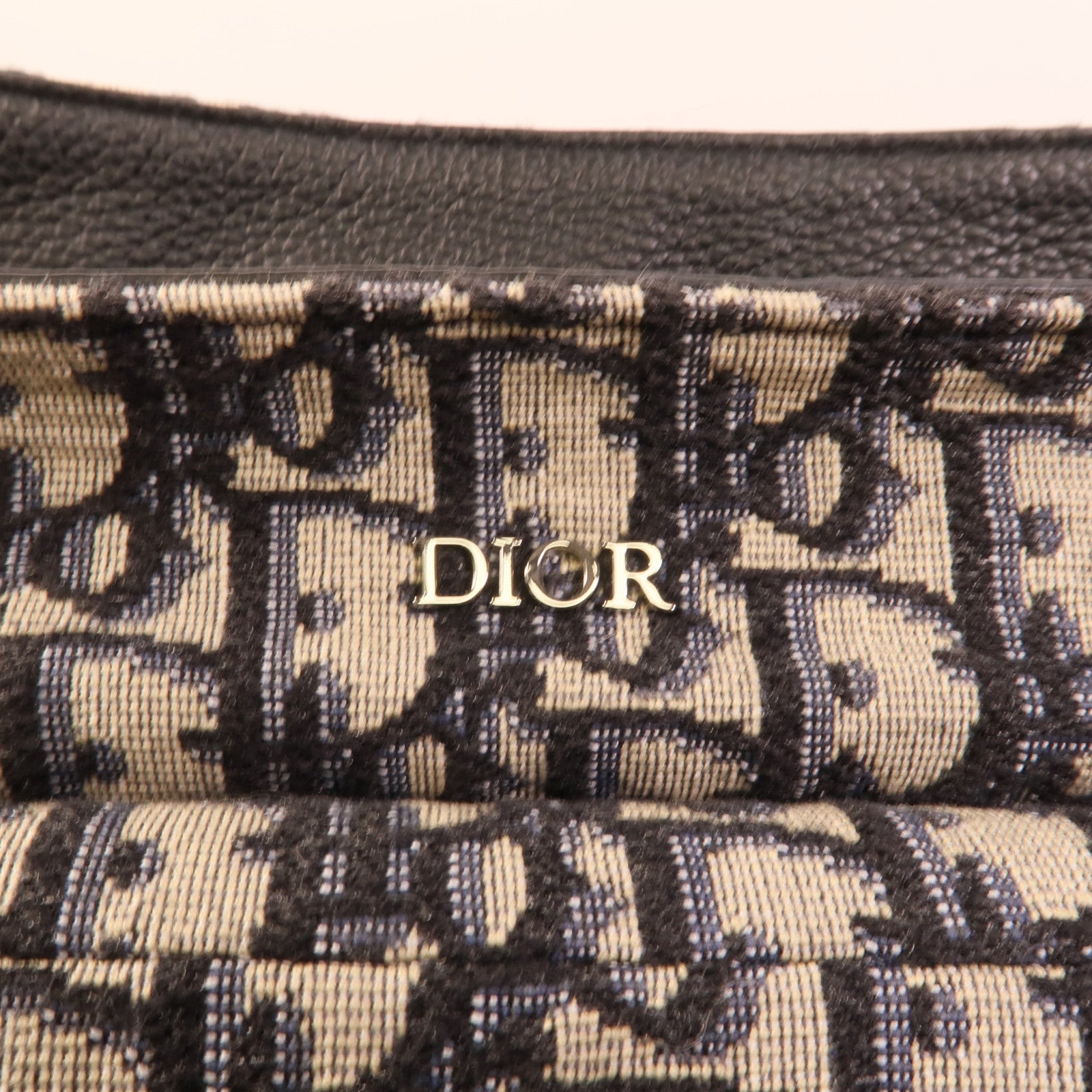 Dior 帆布Saddle手挽肩背兩用袋