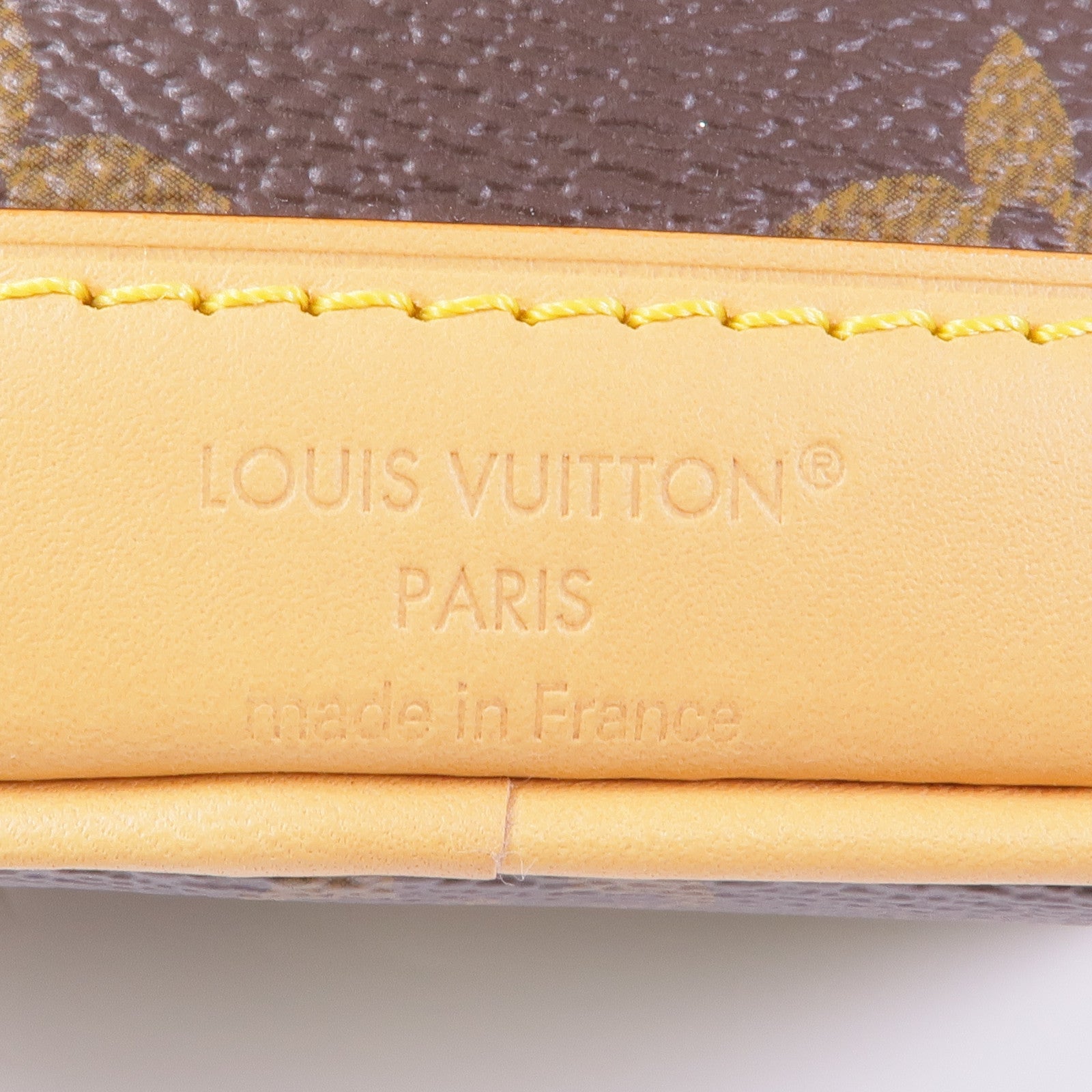 LOUIS VUITTON Monogram Nano Noe金扣手挽肩背兩用袋