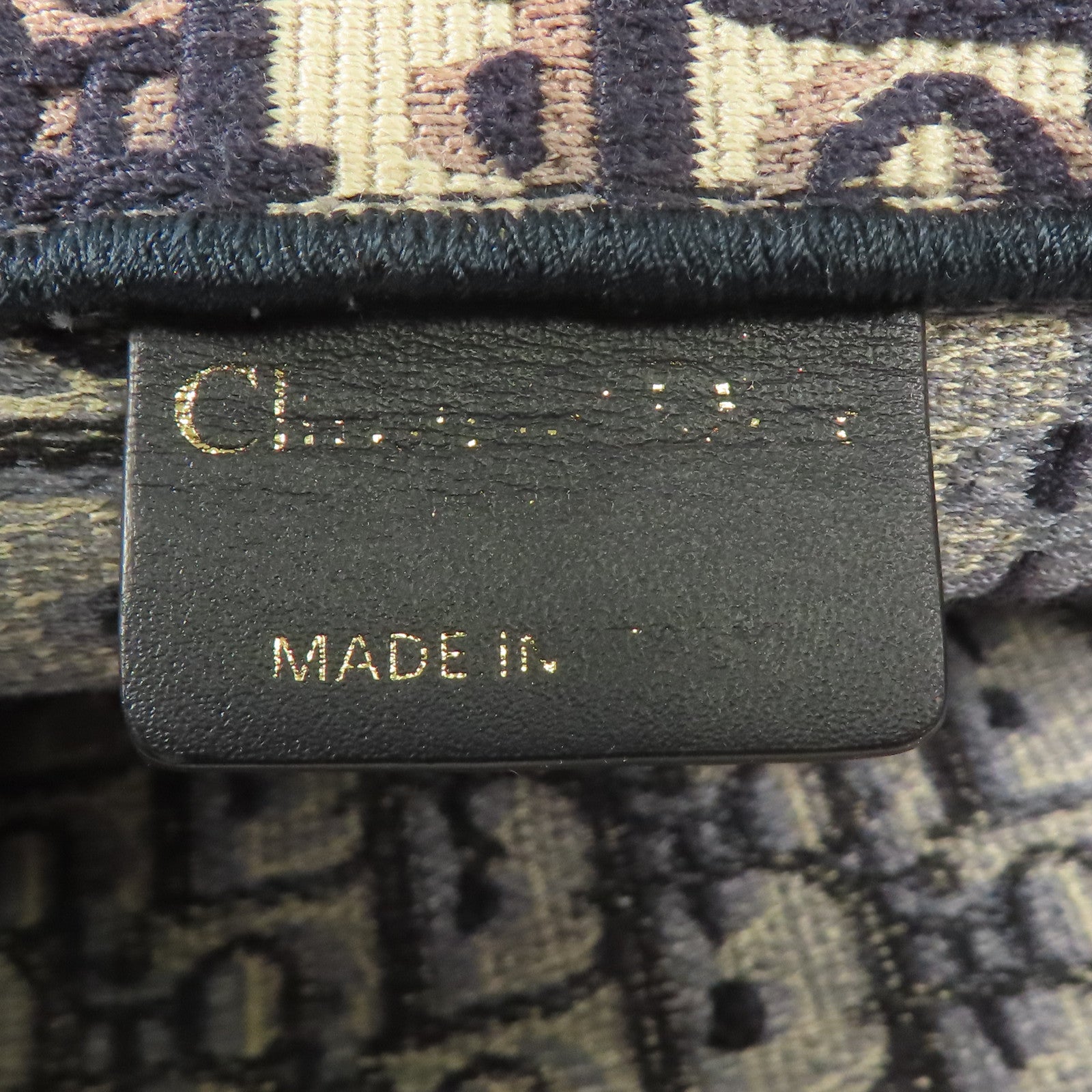 Dior 帆布Book Tote手挽袋