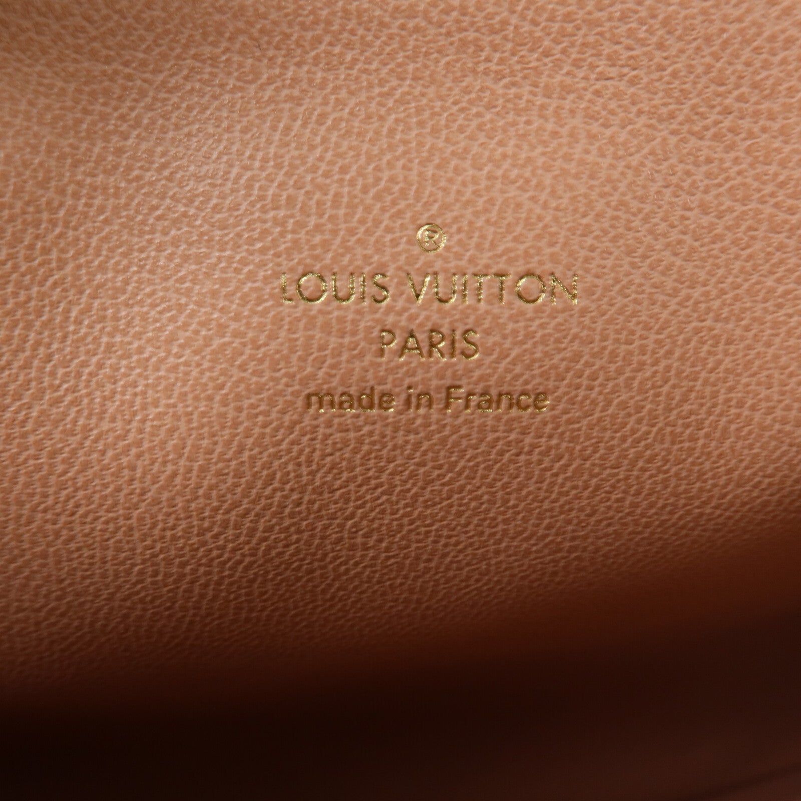 LOUIS VUITTON Monogram Embossed Puffy Coussin PM手挽肩背兩用袋