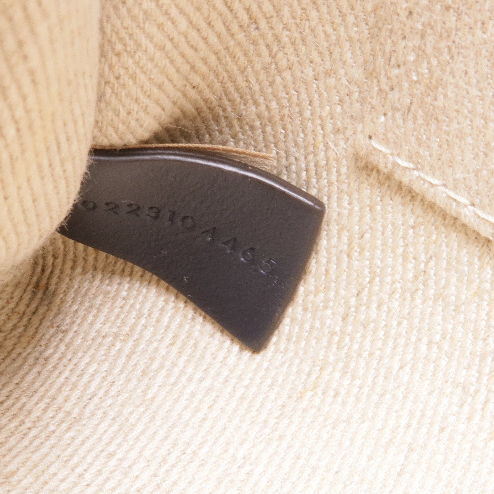 Chloe 帆布Small Woody手挽肩背兩用袋