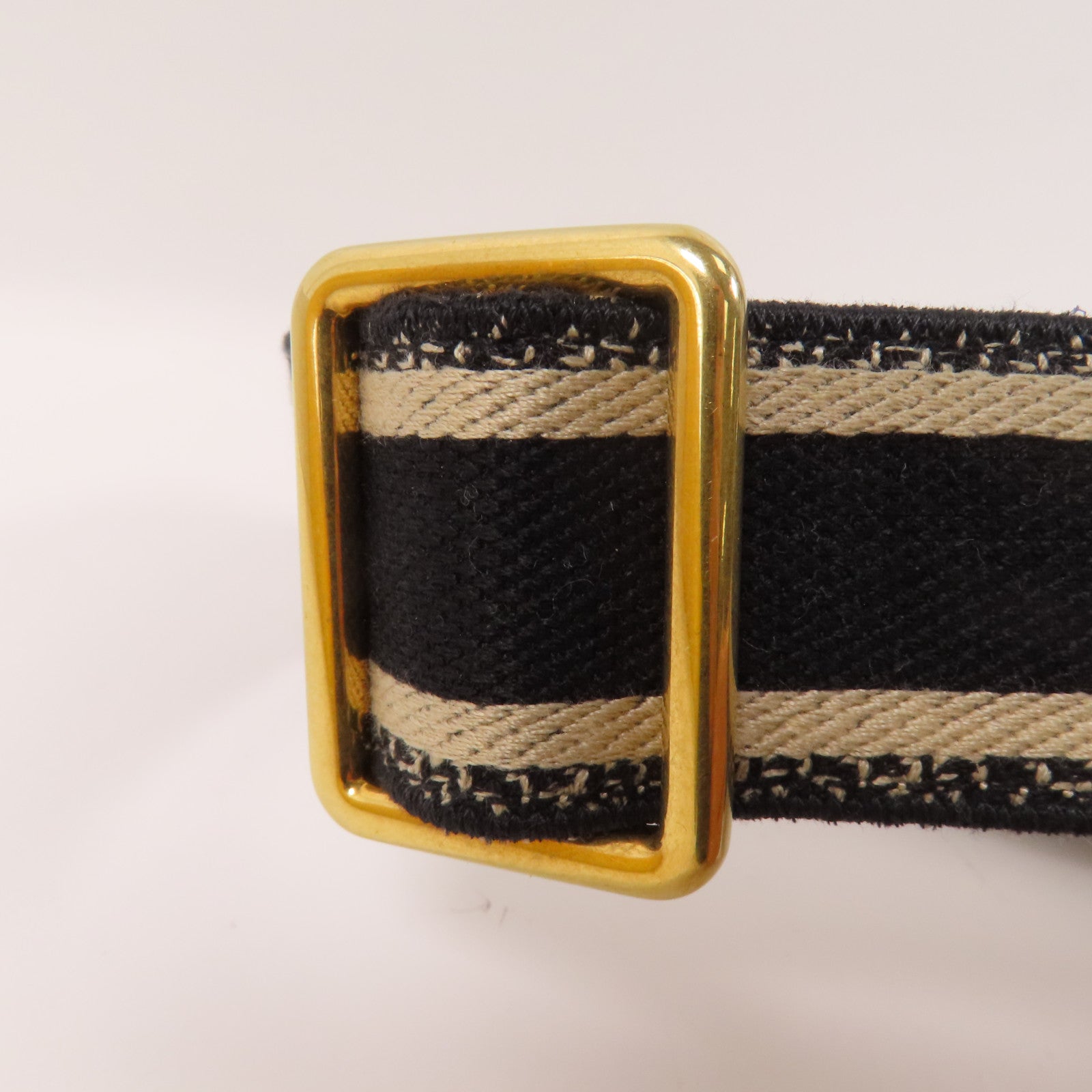 Dior 帆布Shoulder Strap金扣肩帶