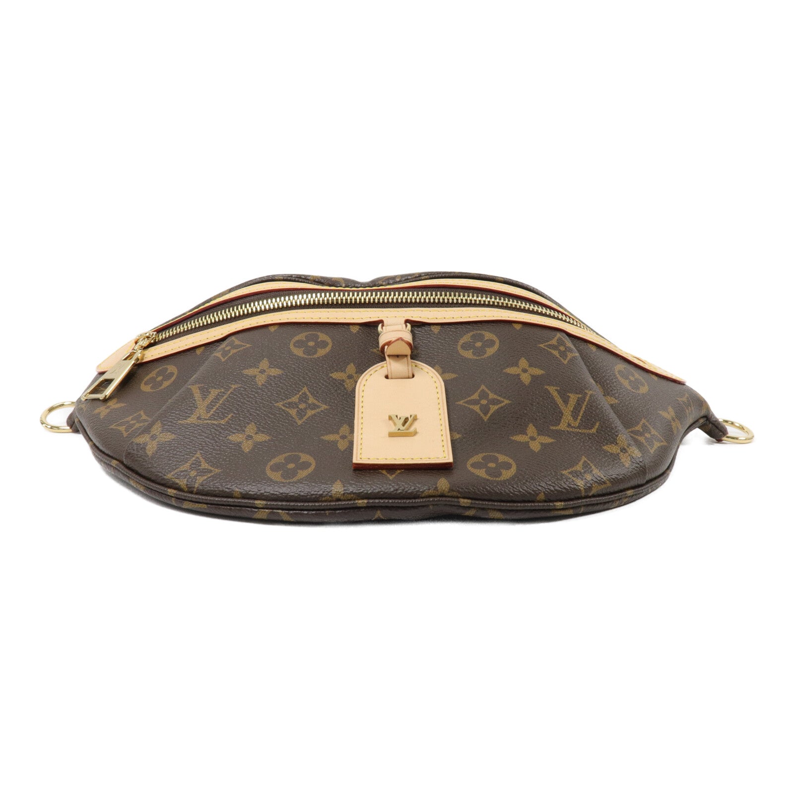 LOUIS VUITTON Monogram High Rise腰包
