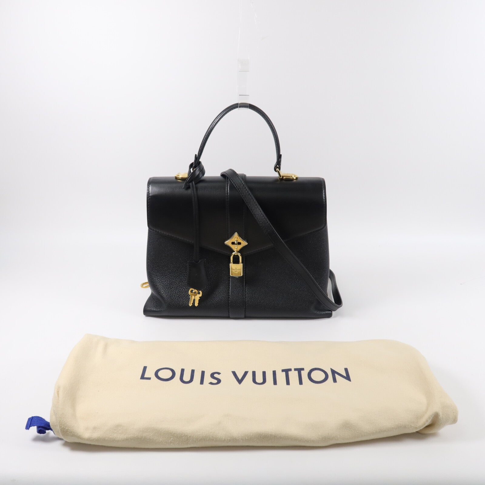 LOUIS VUITTON 牛皮皮革Rose Des Vents手挽肩背兩用袋