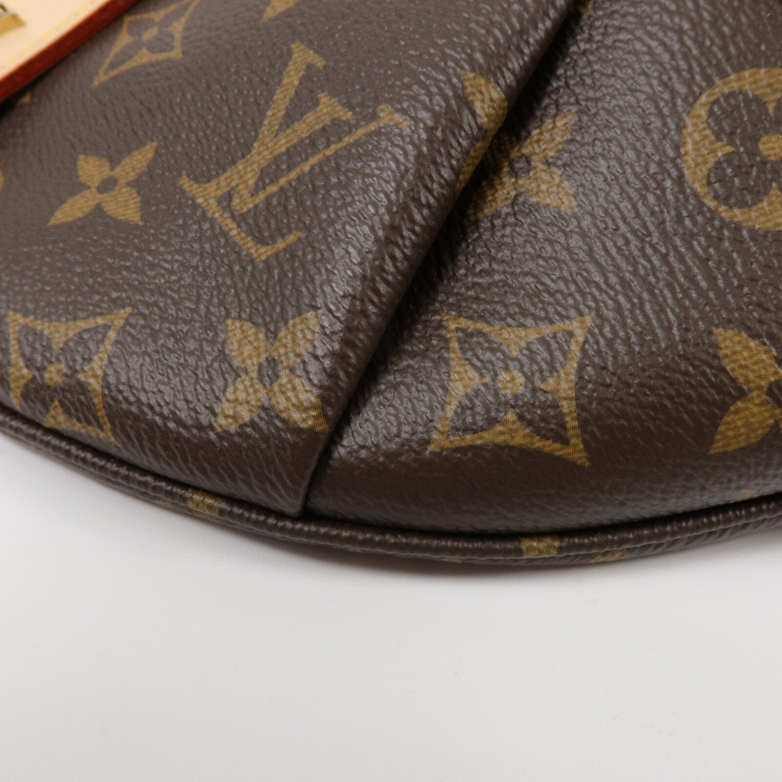 LOUIS VUITTON Monogram High Rise腰包