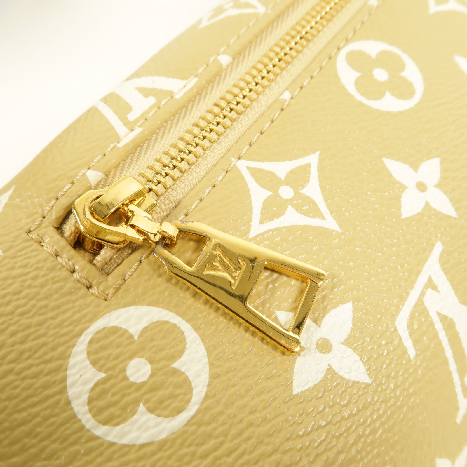 LOUIS VUITTON Monogram Giant Bumbag腰包