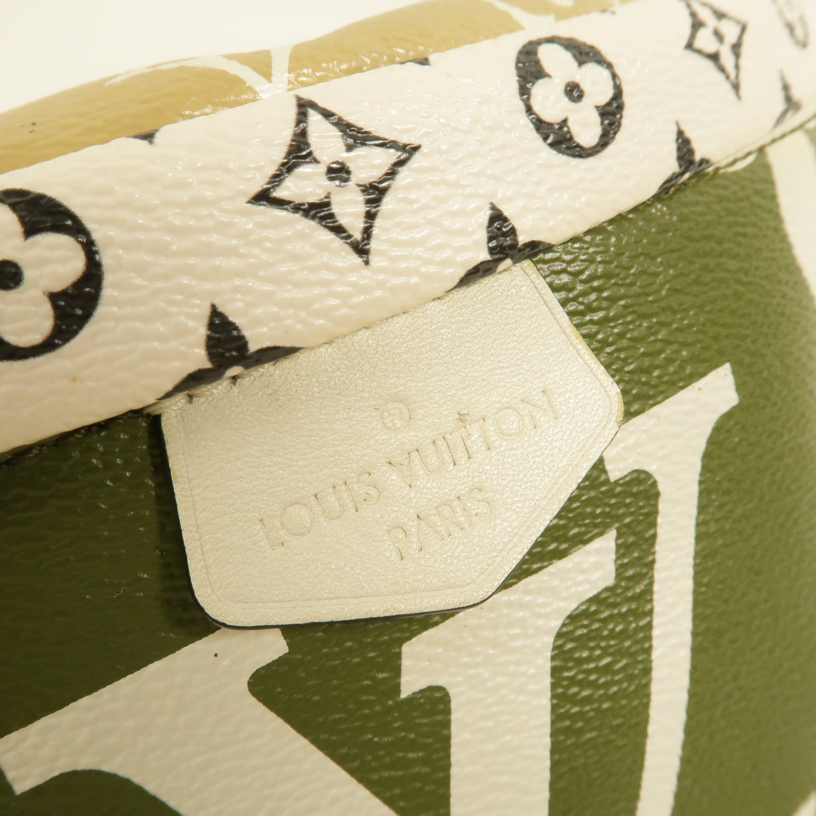 LOUIS VUITTON Monogram Giant Bumbag腰包
