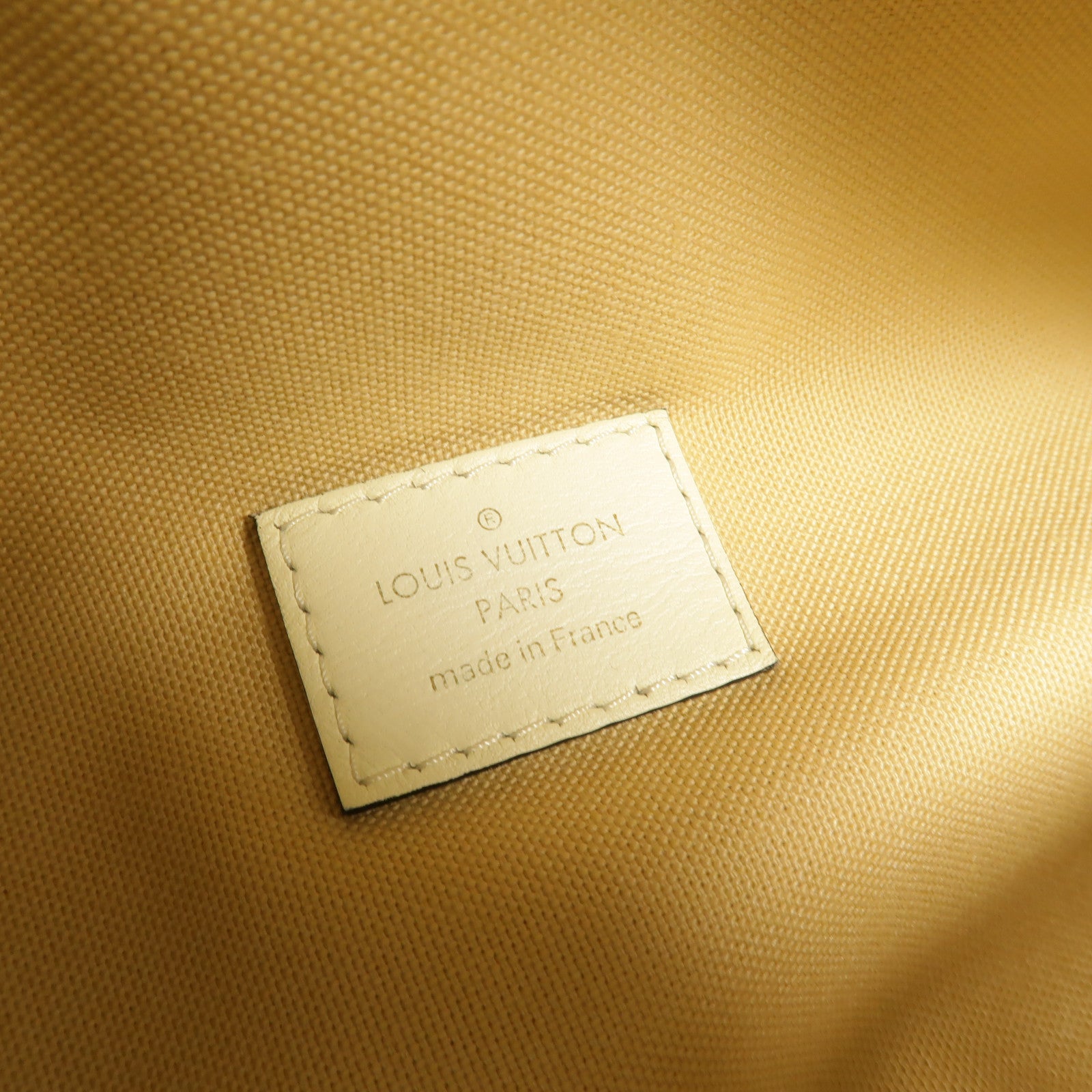 LOUIS VUITTON Monogram Giant Bumbag腰包