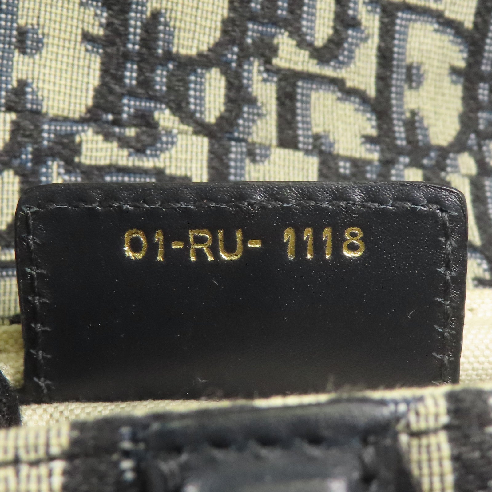 Dior 帆布Saddle金扣肩背袋