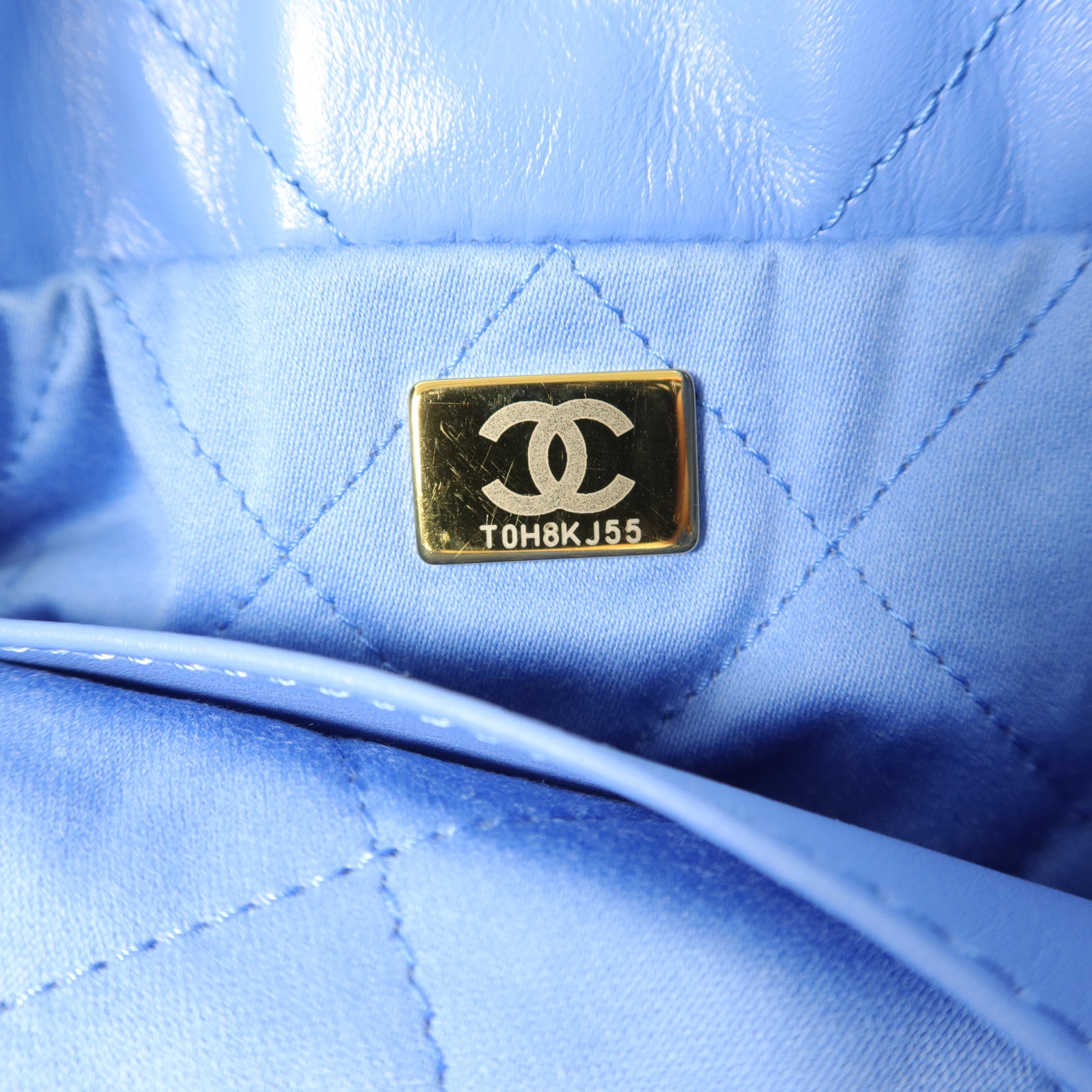 CHANEL 羊皮皮革Chanel 22 Mini手挽肩背兩用袋
