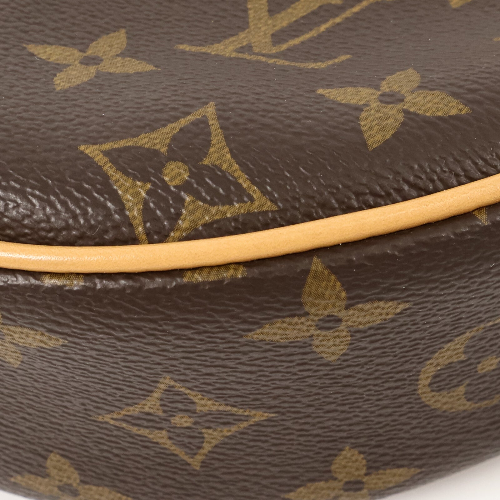 LOUIS VUITTON Monogram Loop肩背袋