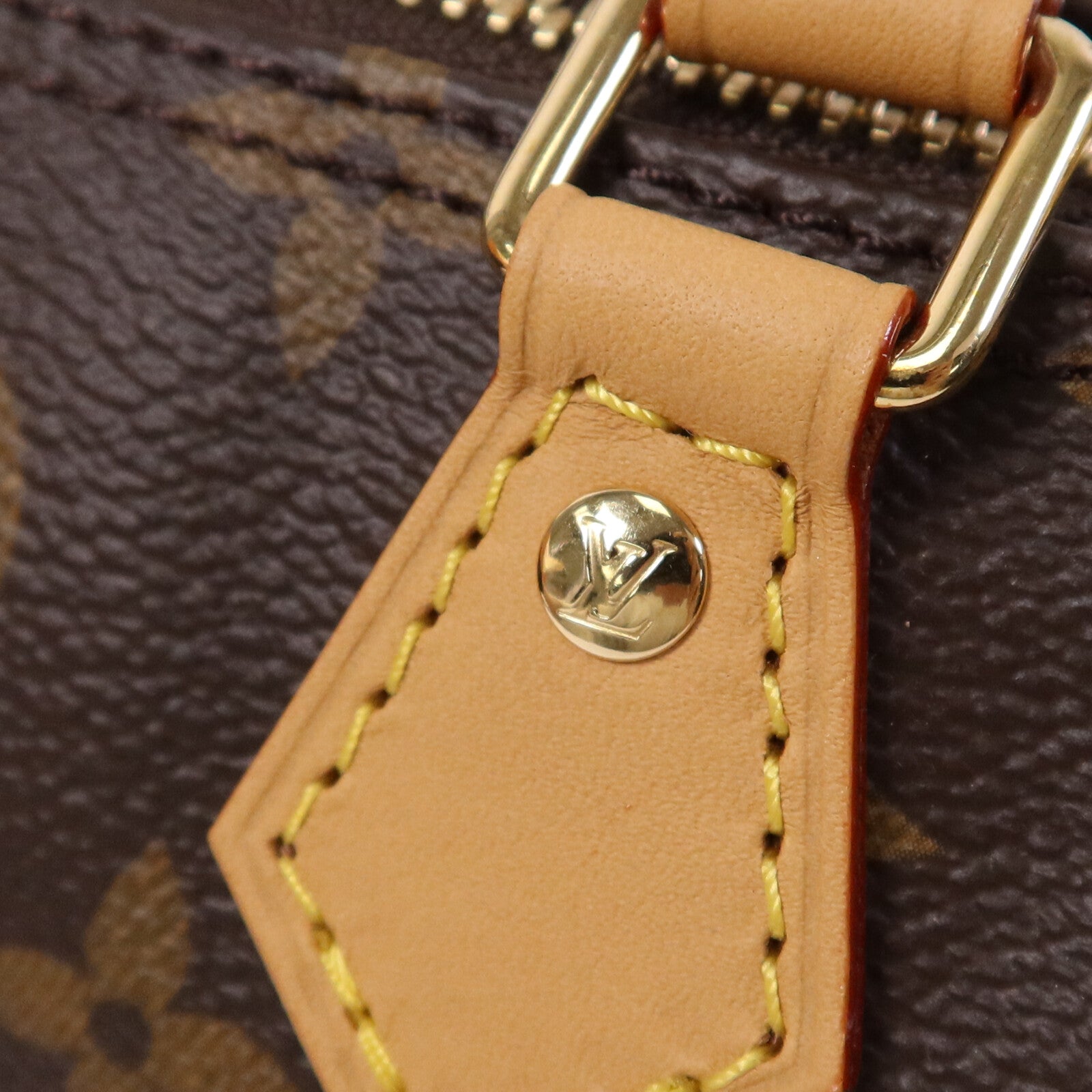 LOUIS VUITTON Monogram Nano Speedy金扣手挽肩背兩用袋